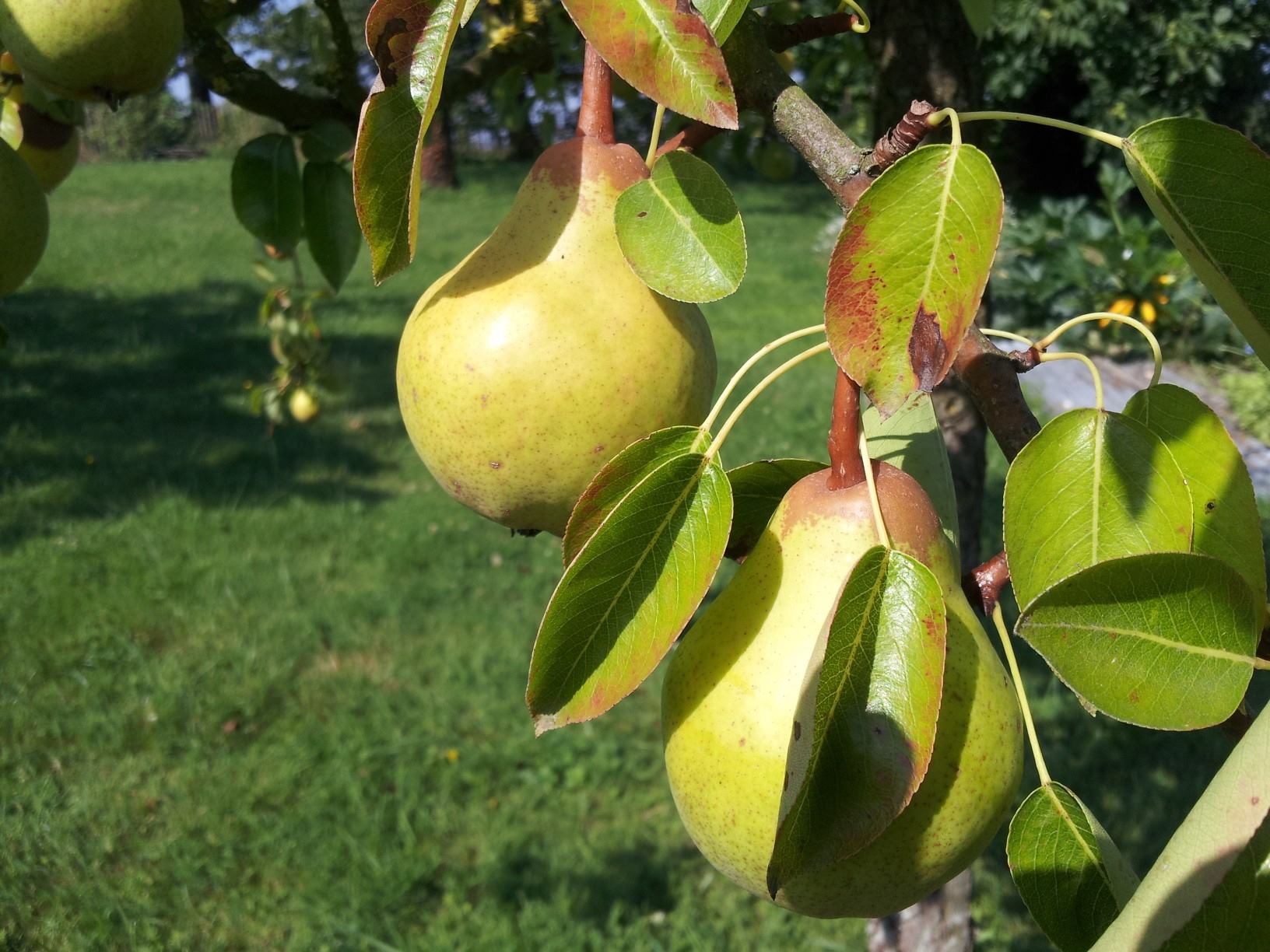 10482253 680450685363294 8681789831054105933 o