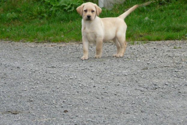 1800410 844052032313175 1240384759059050134 n