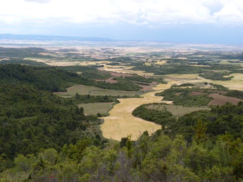 P1000942