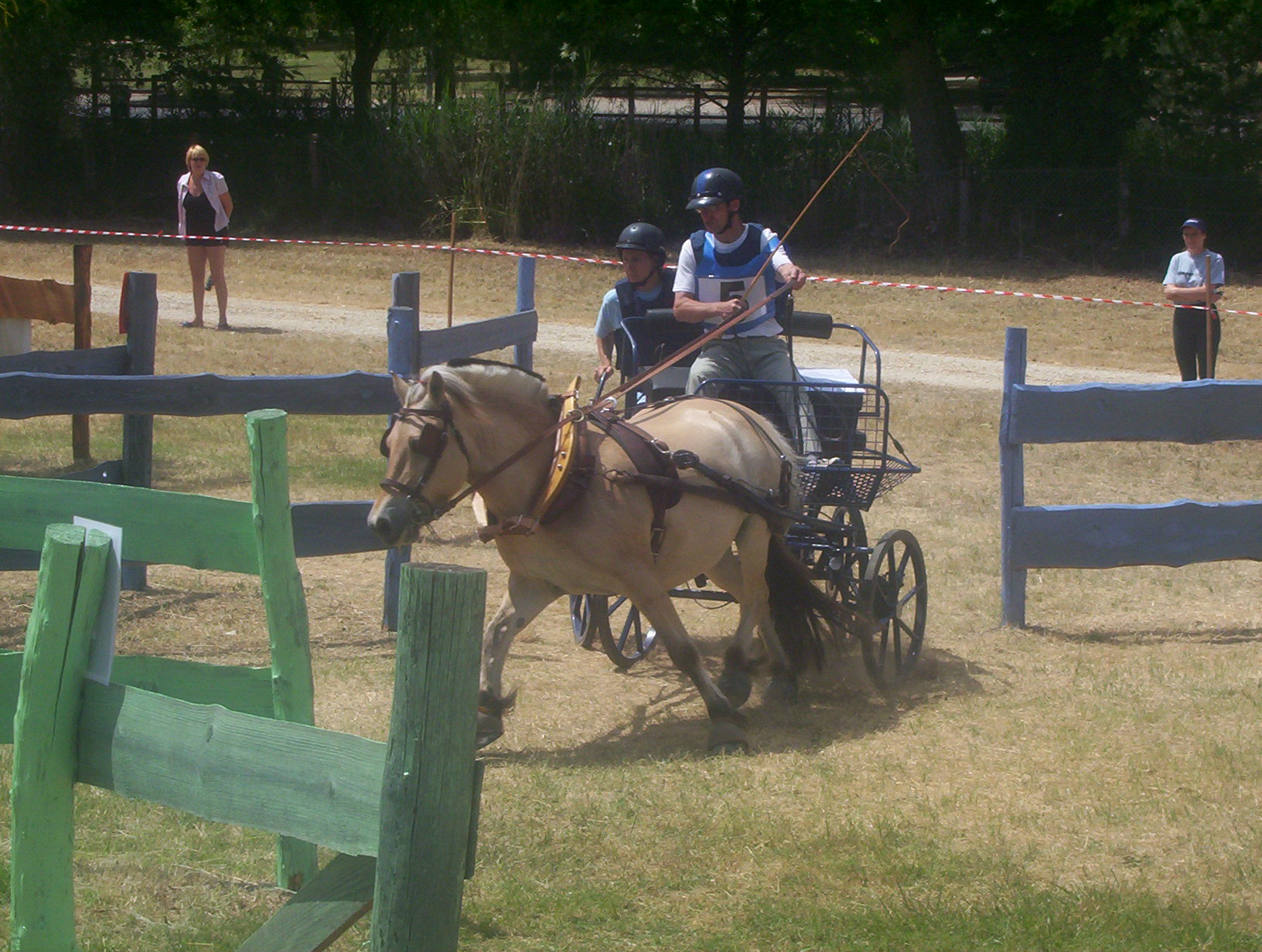 Concours d attelage de bergerac 04 010