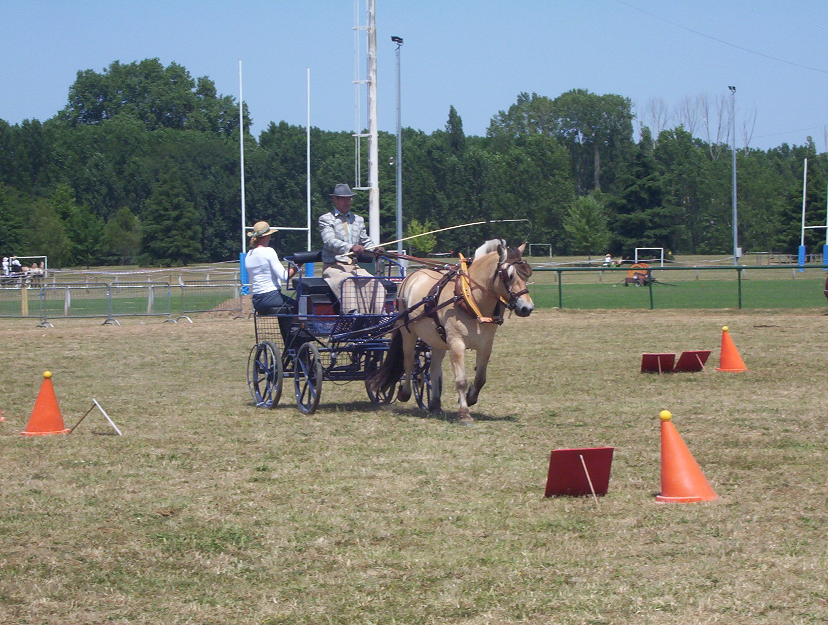 Concours d attelage de bergerac 04 124