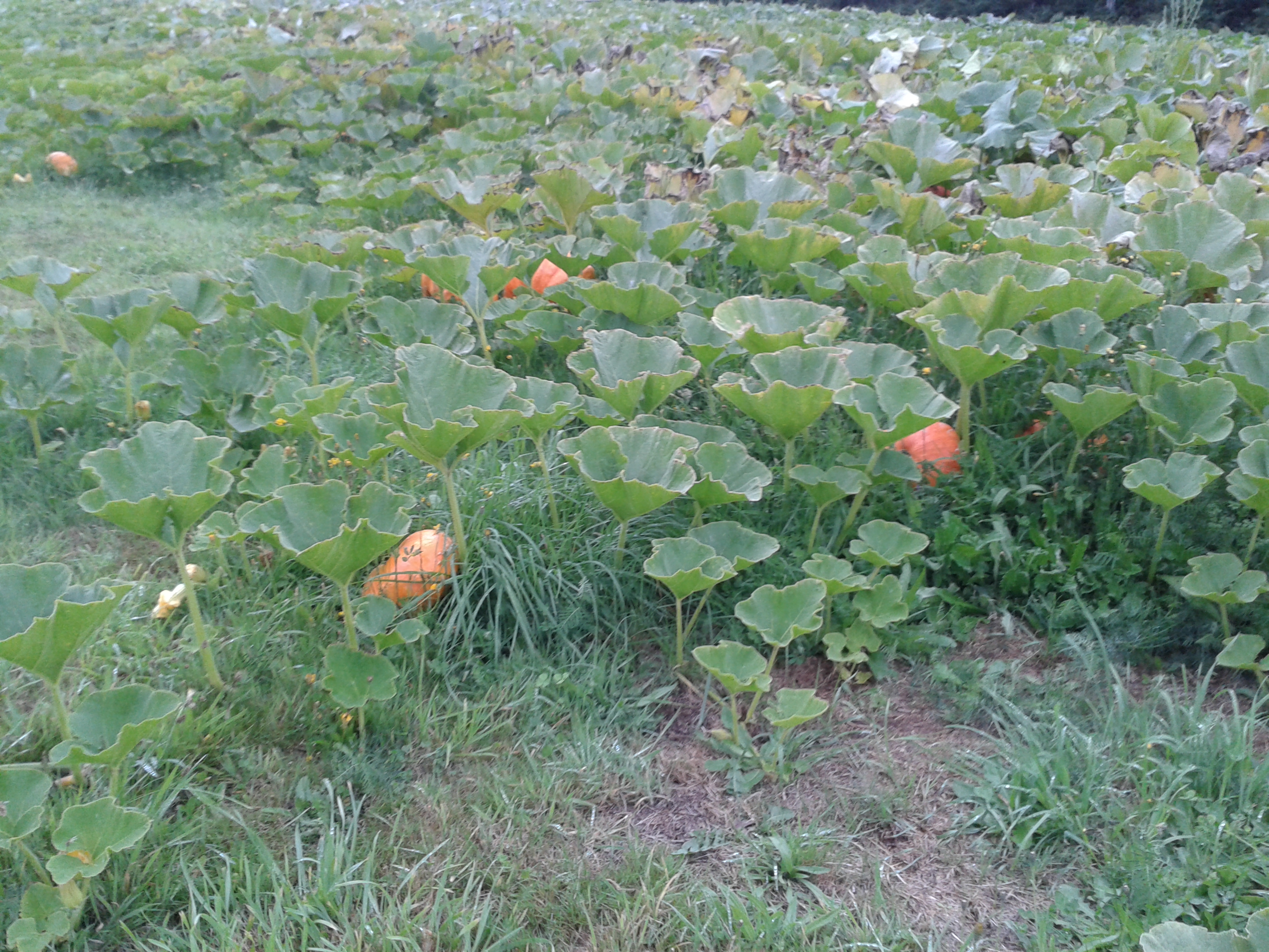 20140826 200717