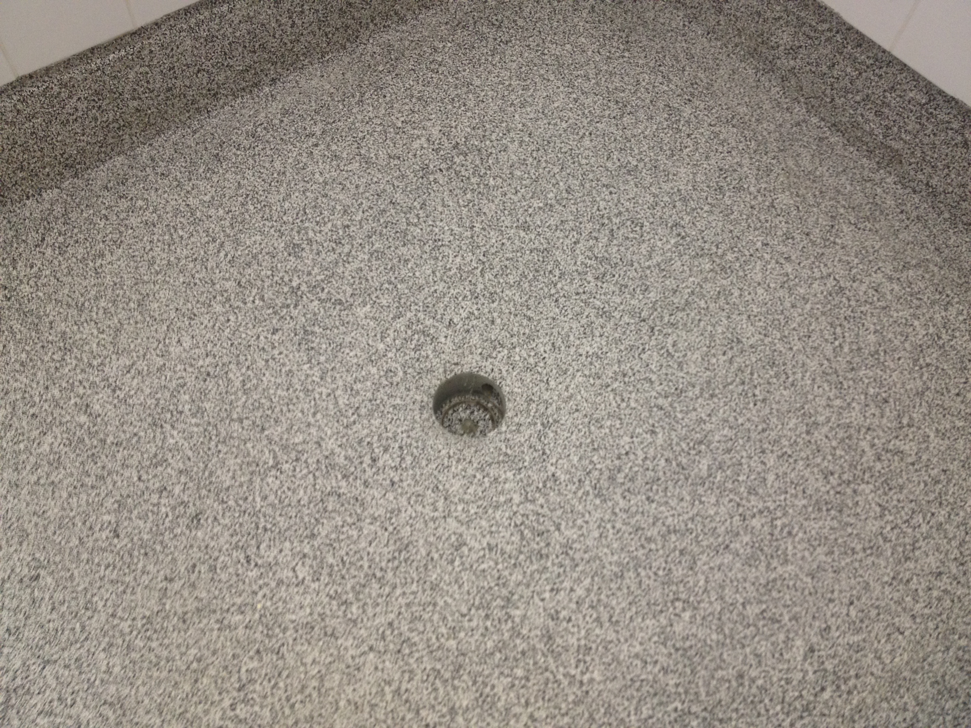 IMG 0705