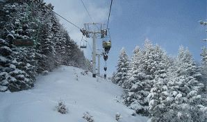 Hourc piau 1400