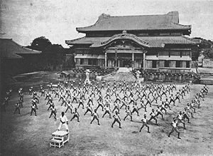 300px Karate ShuriCastle 1 