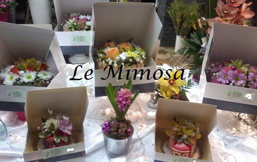 20141230 201025 Copie