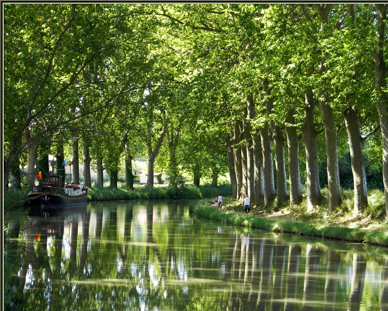Balade sous les Platanes