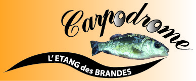 Logo avec fon jaune