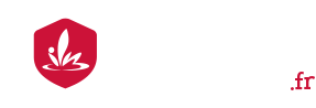 Logo 2013
