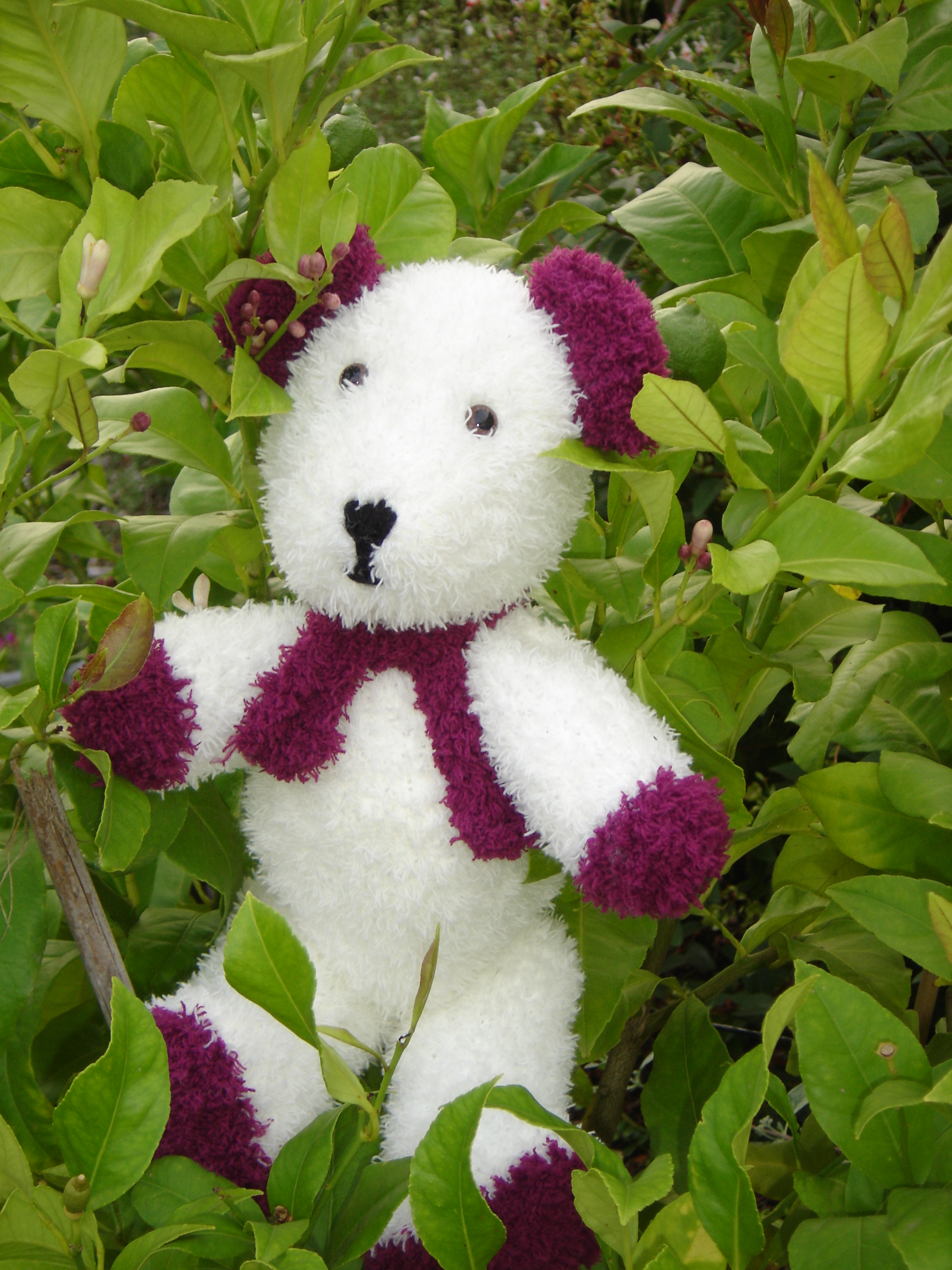 gros ours blanc et framboise de 50cm 30 euros