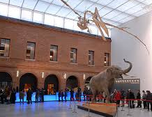 Museum