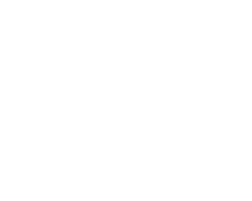 Flocon de neige 4