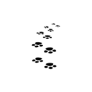 Pattes2