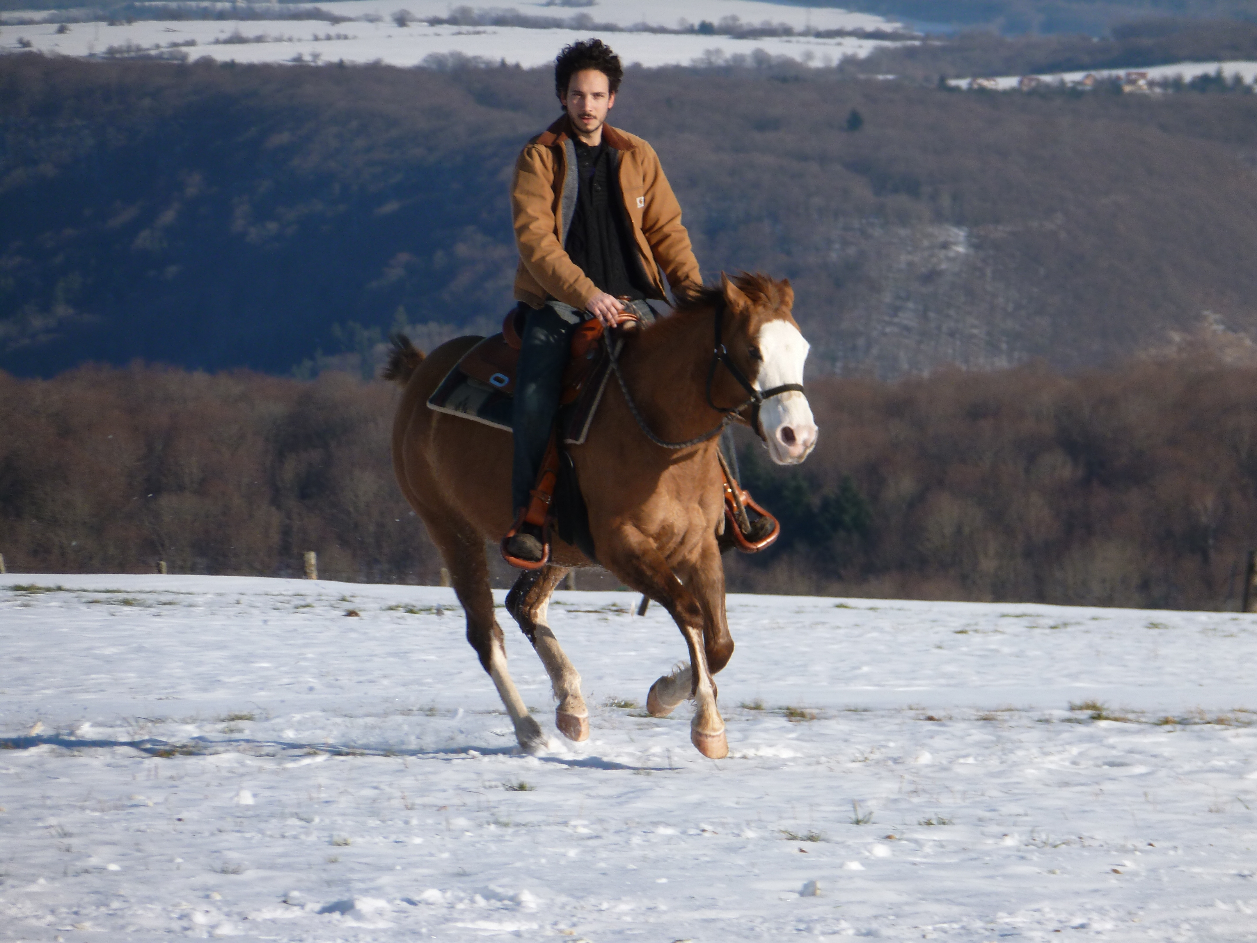 Holly-Jacs-Pine Paint Horse splash
Baldrock-Ranch