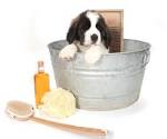 Chienbain