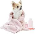 Chienserviette