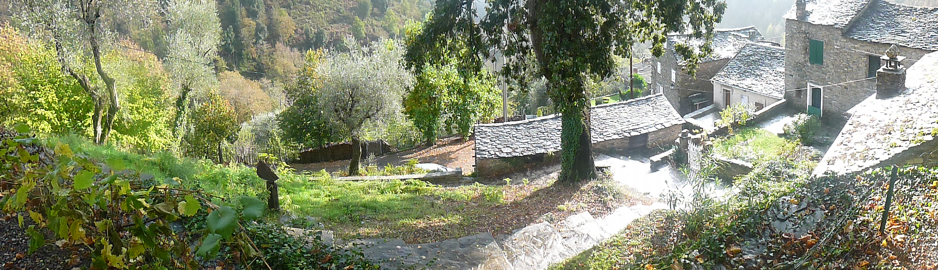 P1030284