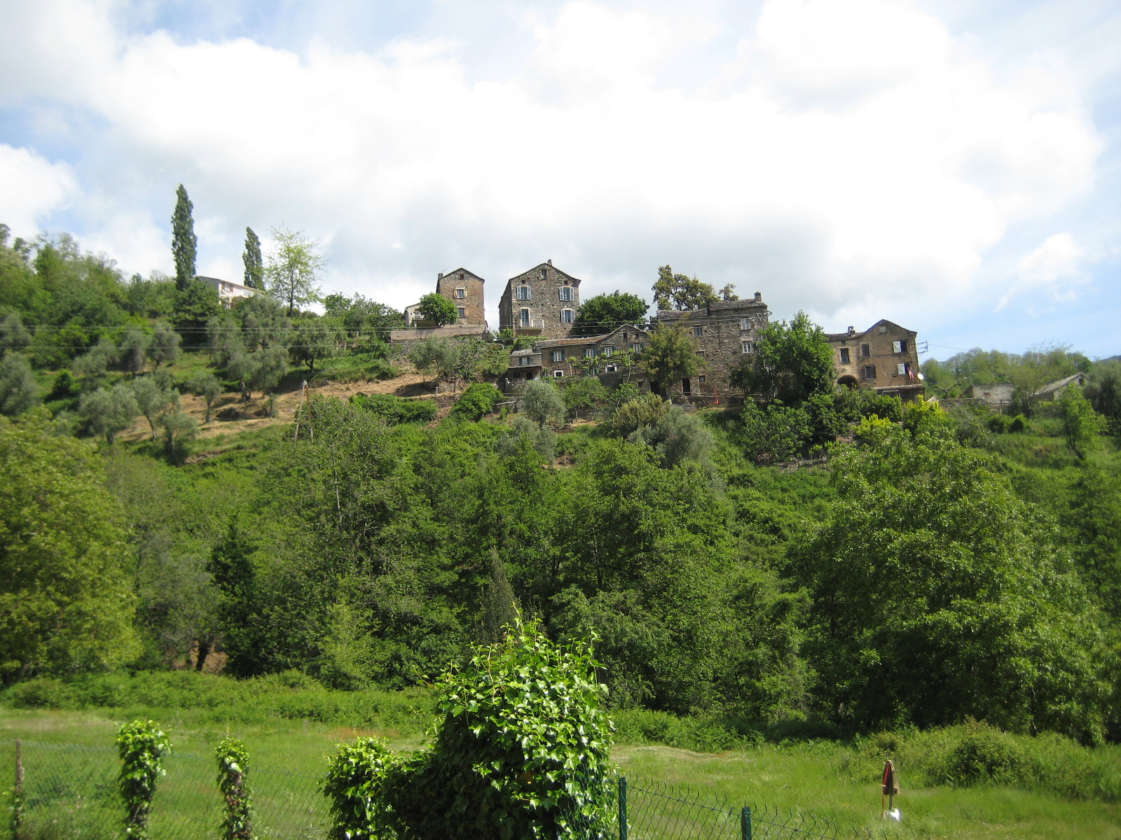 Img 7085