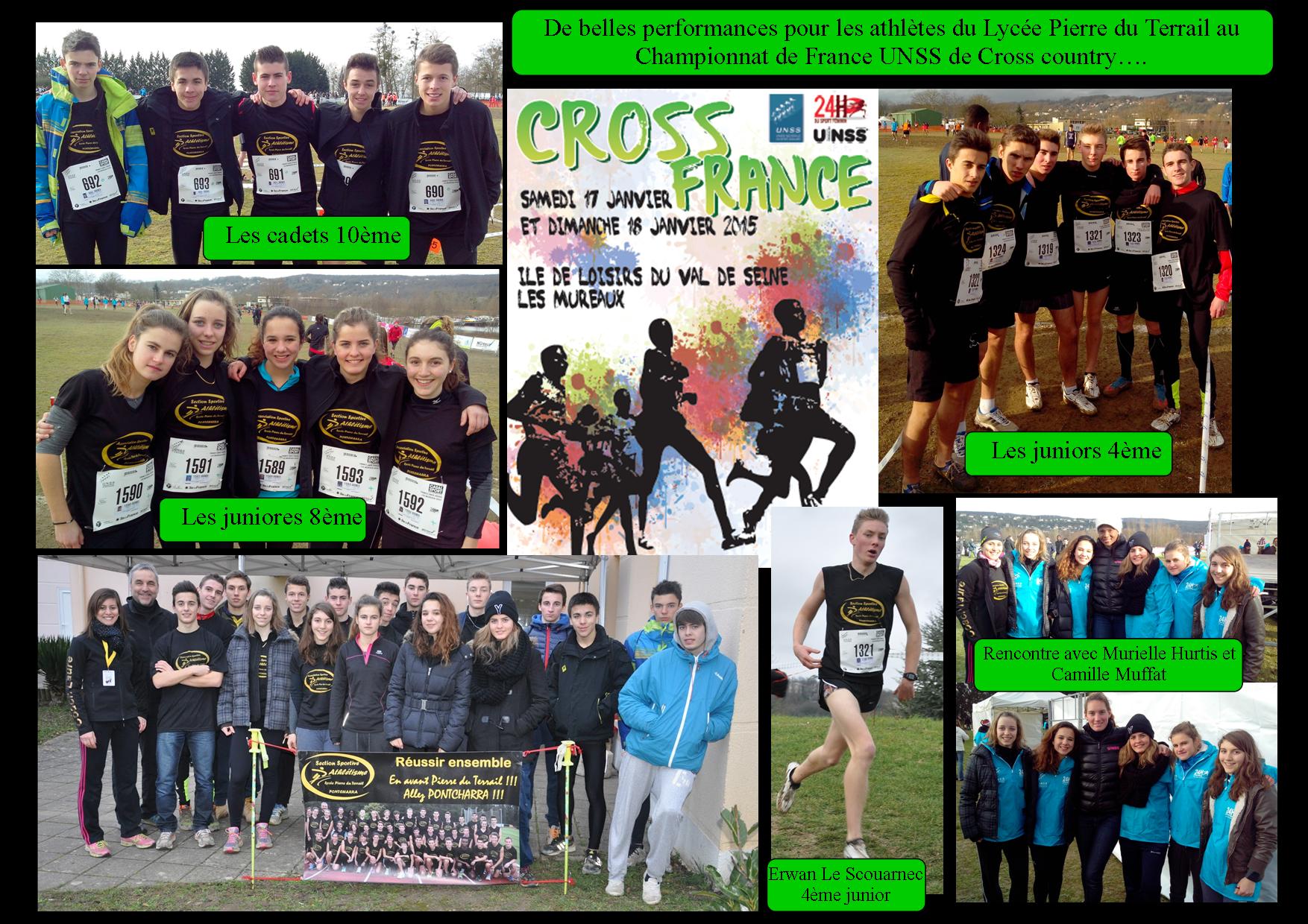 Article cf cross