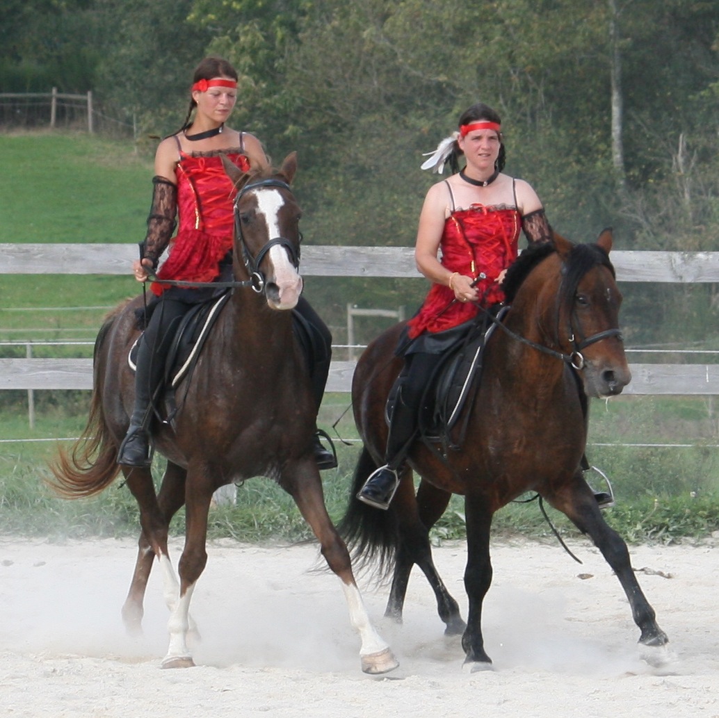 Fête du cheval à Pluherlin