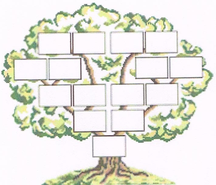 Therapie abre genealogique