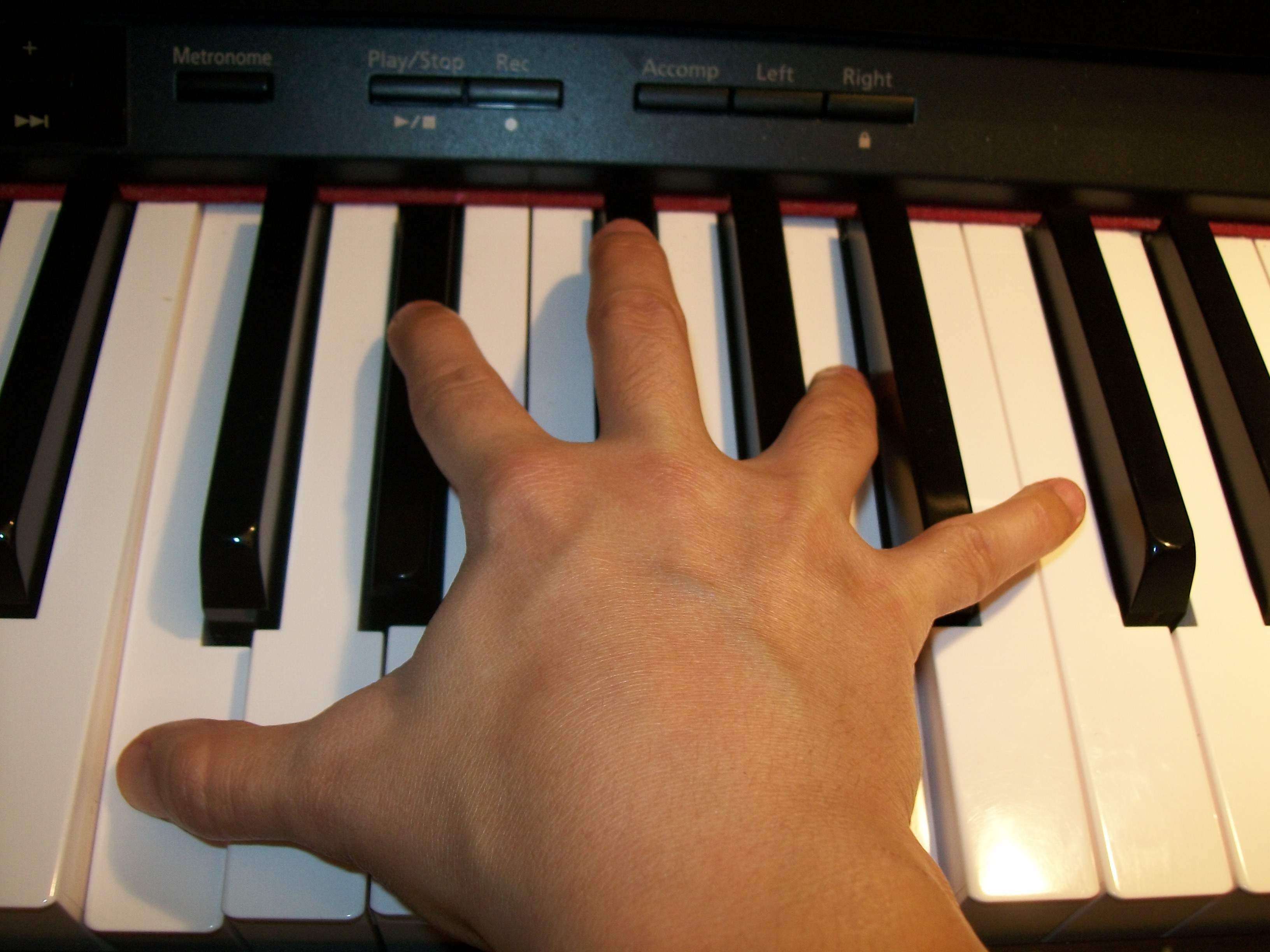 Clavier standart accord polonaise chopin
