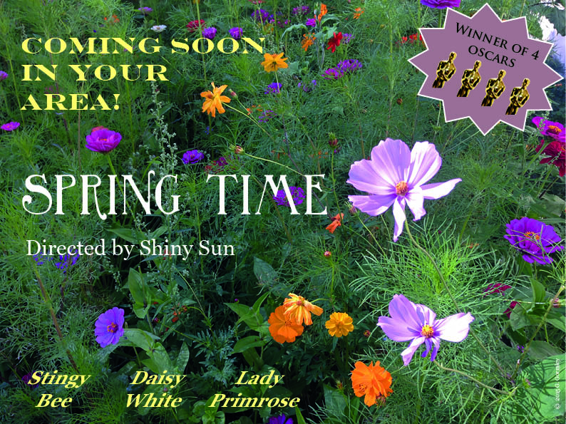 Spring time