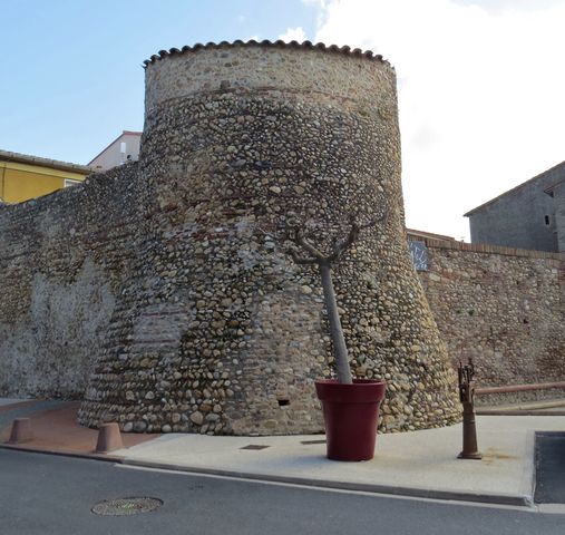 Img 3889