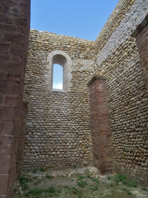 Img 3901