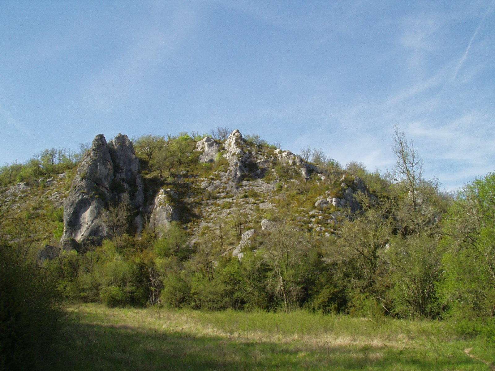 P1010056
