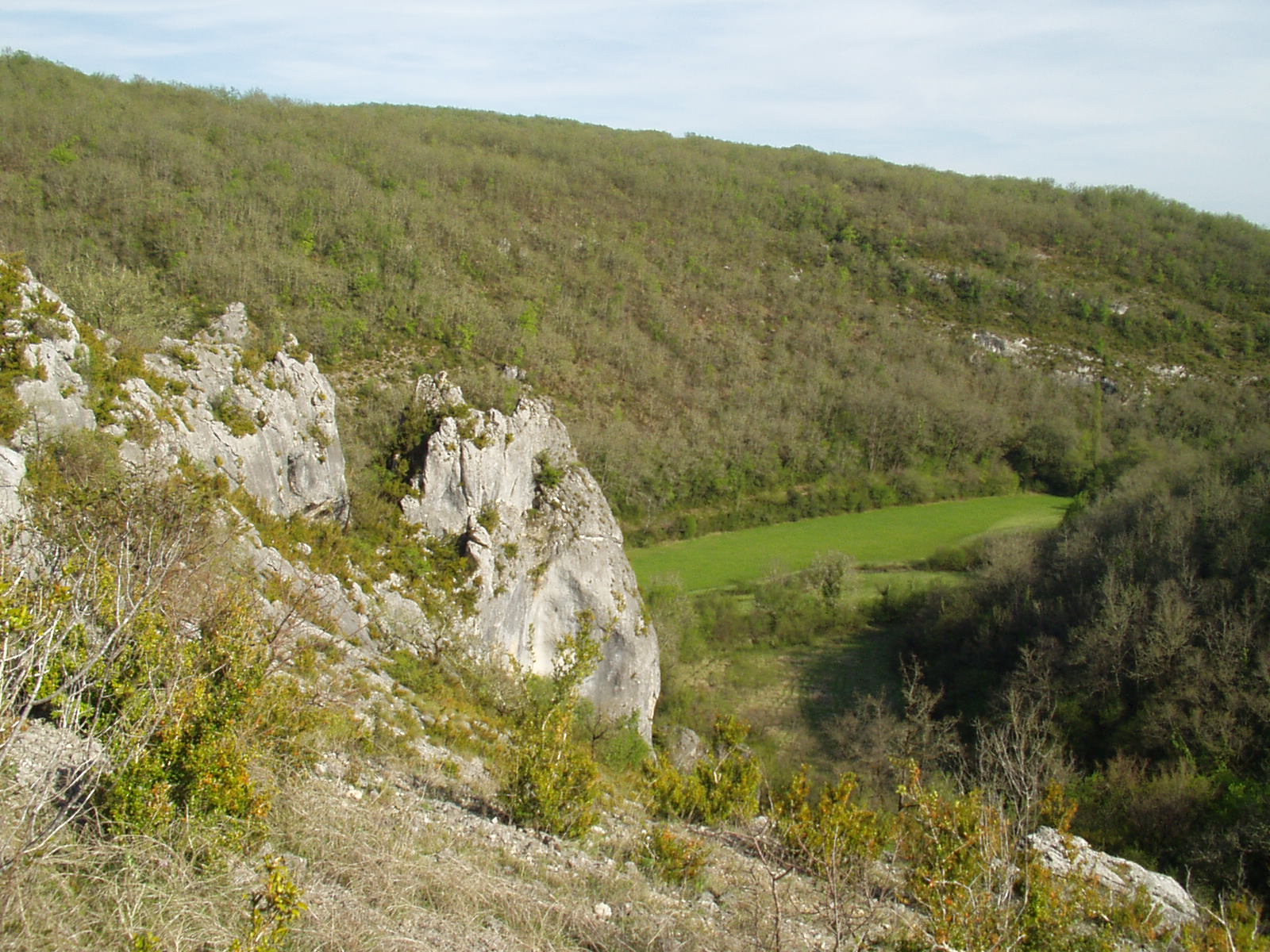 P1010059