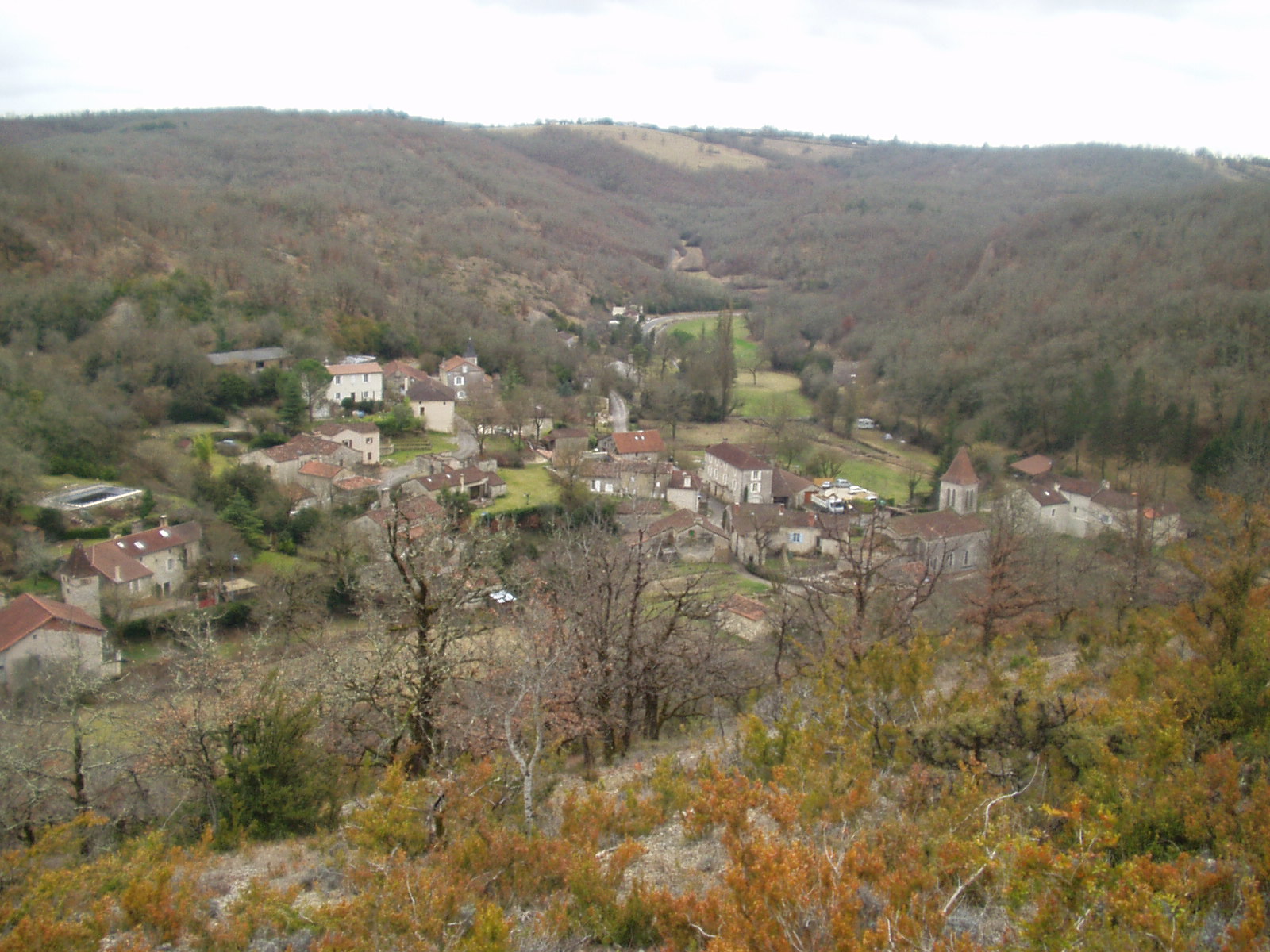 P1010017
