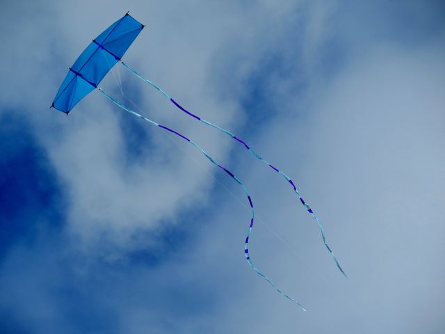 Img 3928