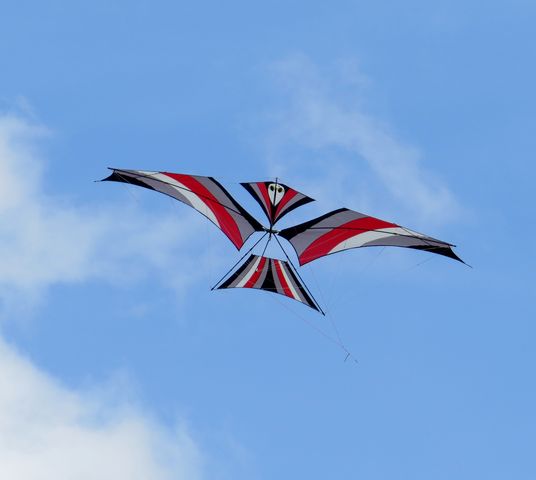 Img 3938