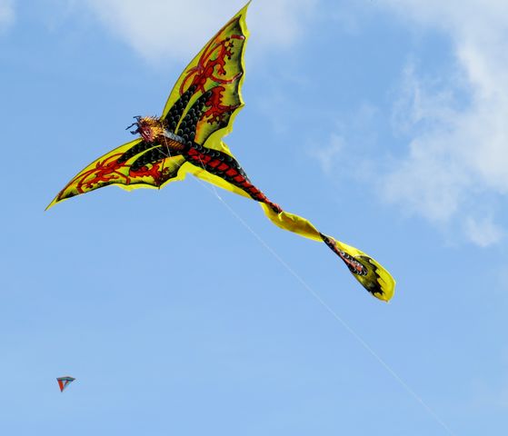 Img 3941