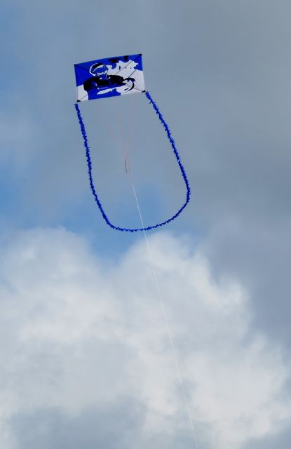 Img 3942