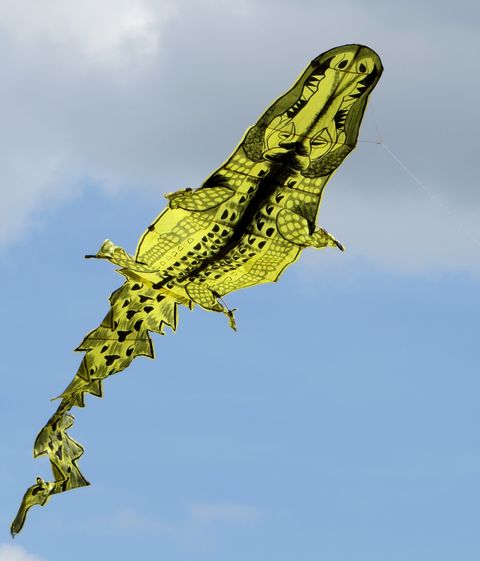 Img 3944