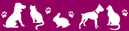 Bandeau chien chat rongeur 4 pattes
