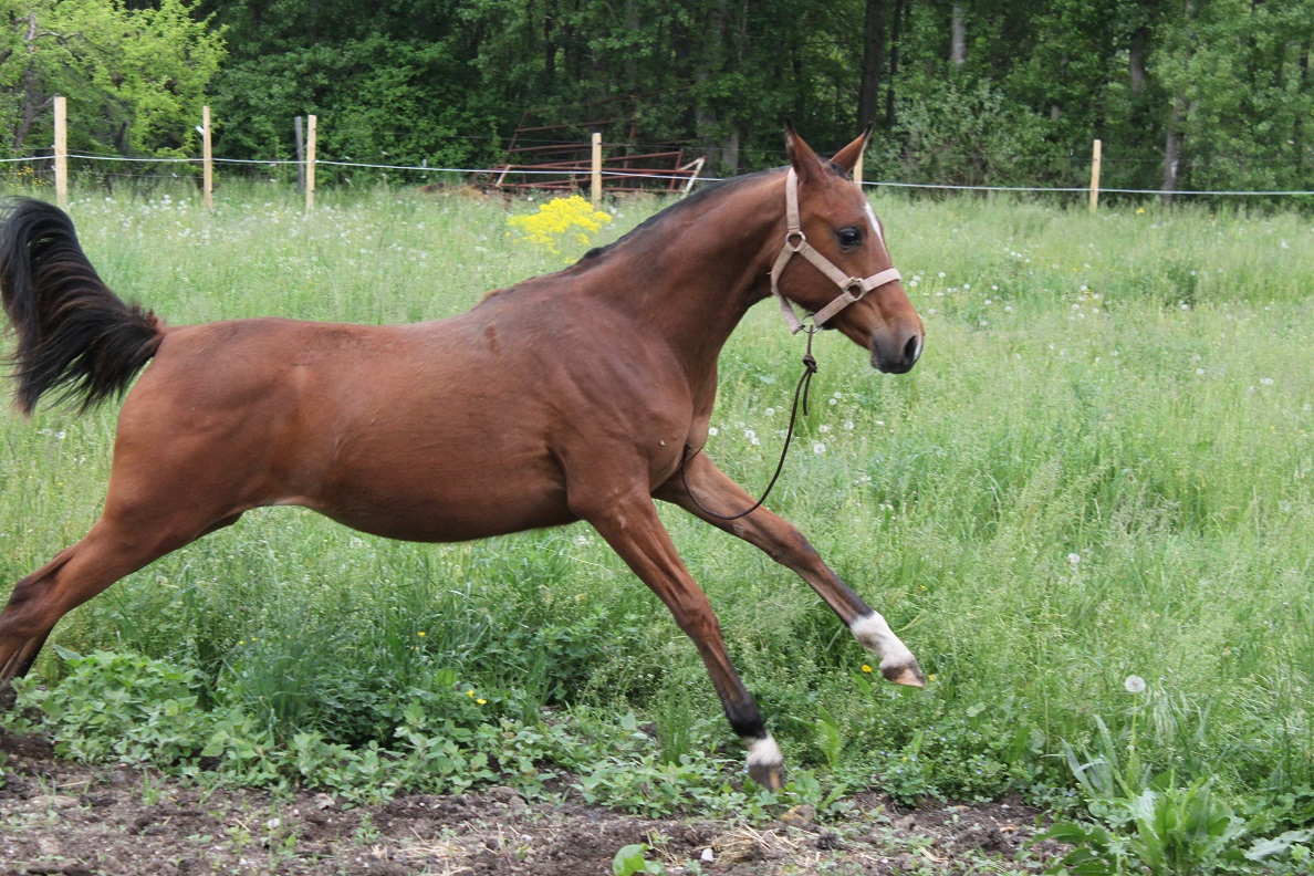 Electra et energie mai 2015 10 