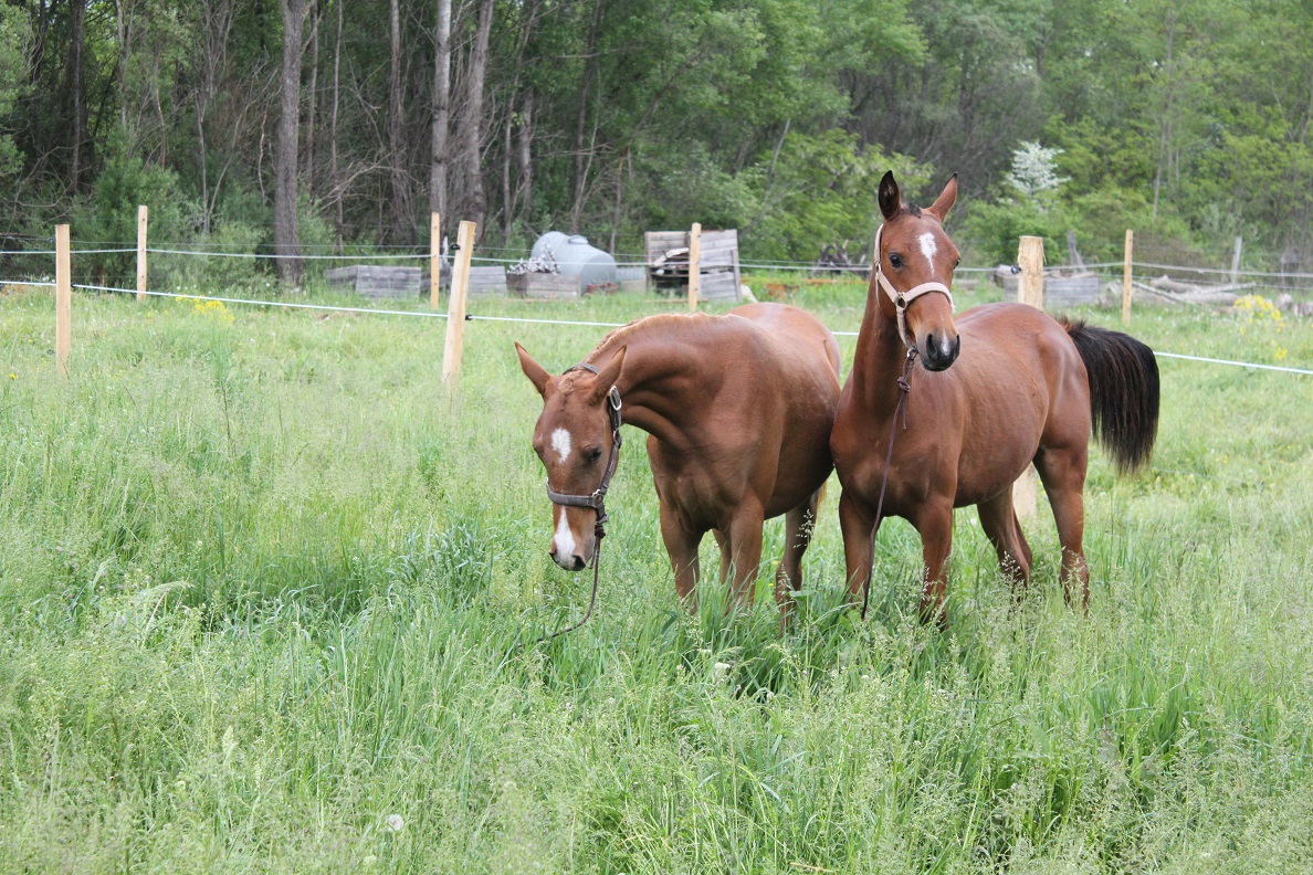 Electra et energie mai 2015 12 