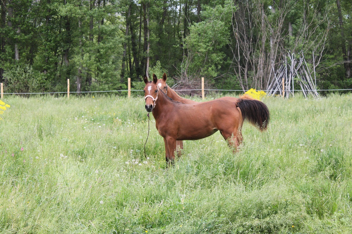 Electra et energie mai 2015 21 