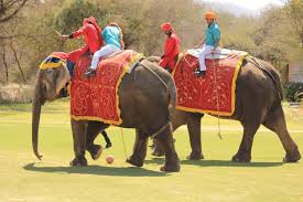 Jaipur elephants du fort d amber