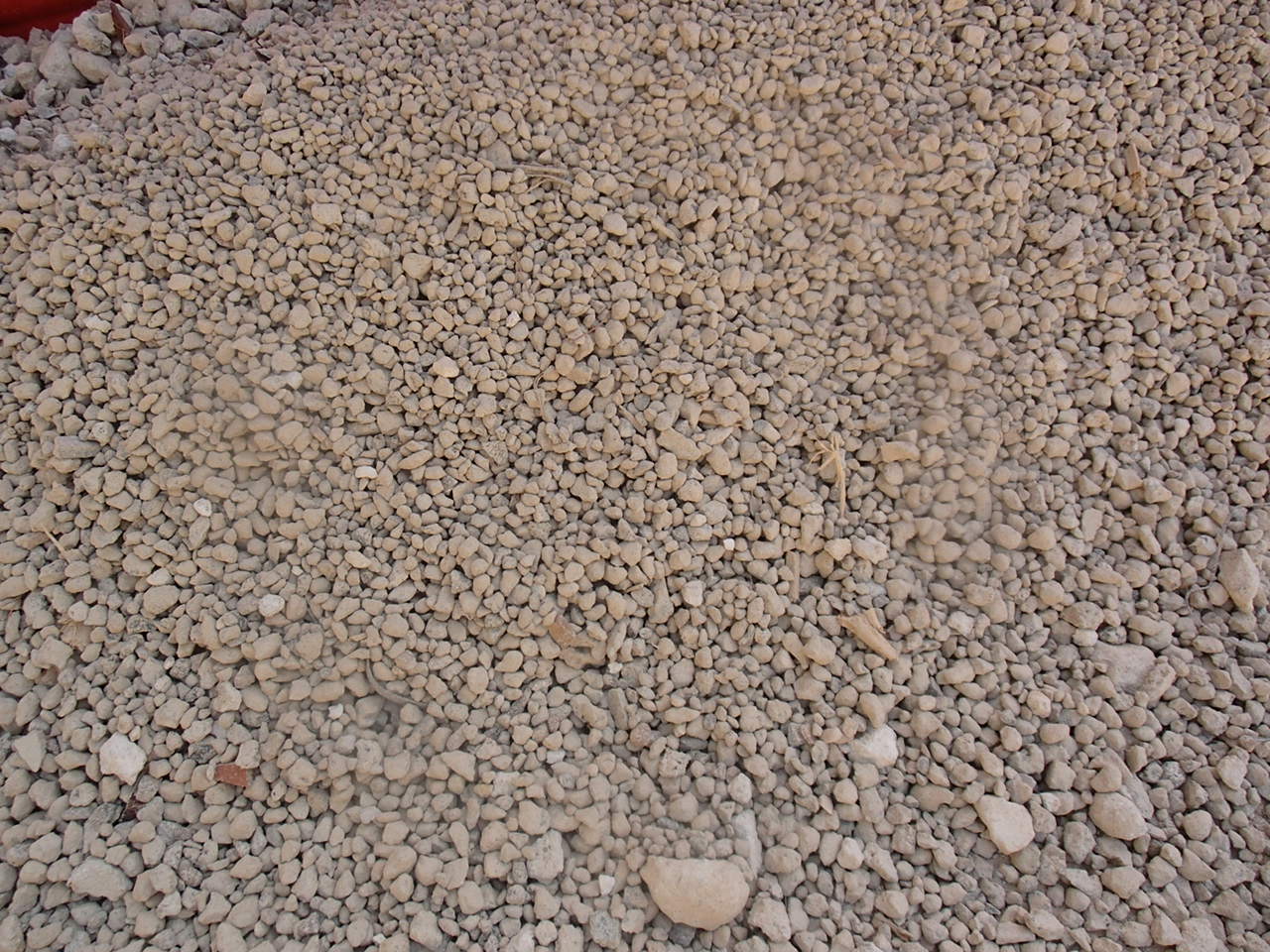 P7050008