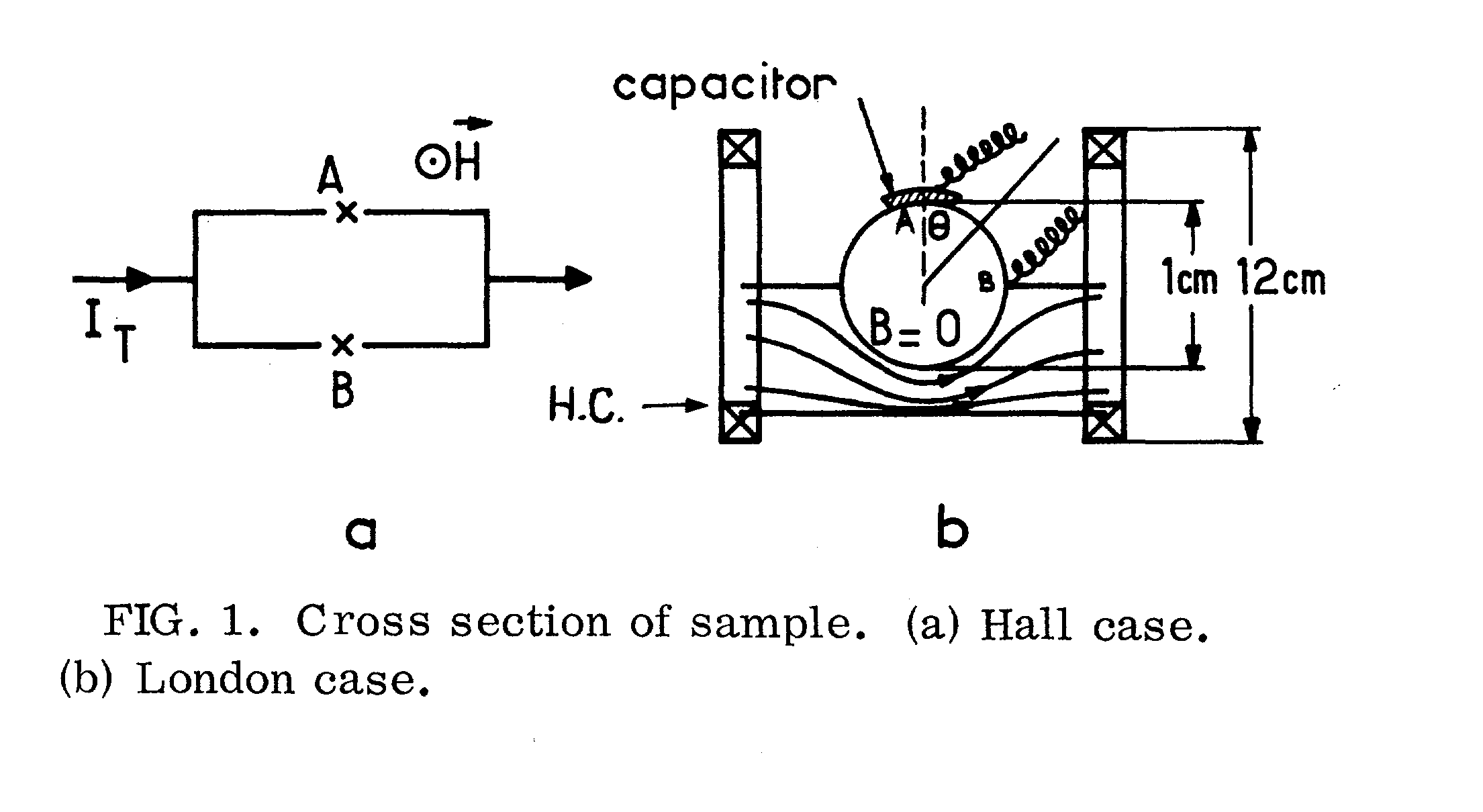 Bernoulli 02