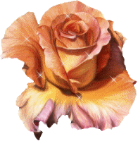 13 gifs animes rose big