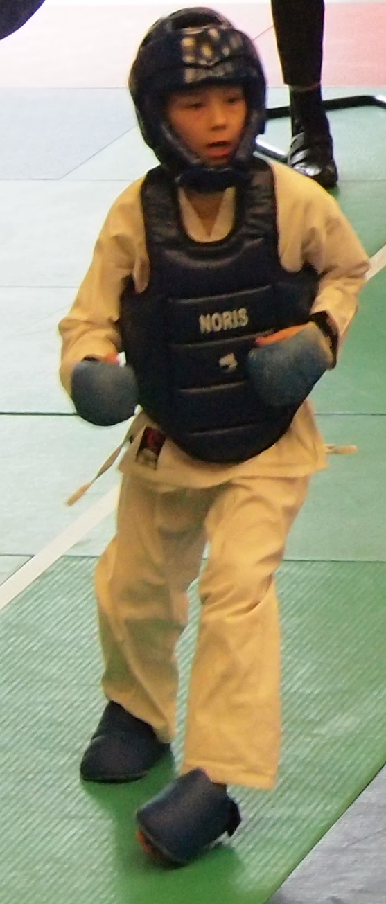 15 Karate inter region 7 modif