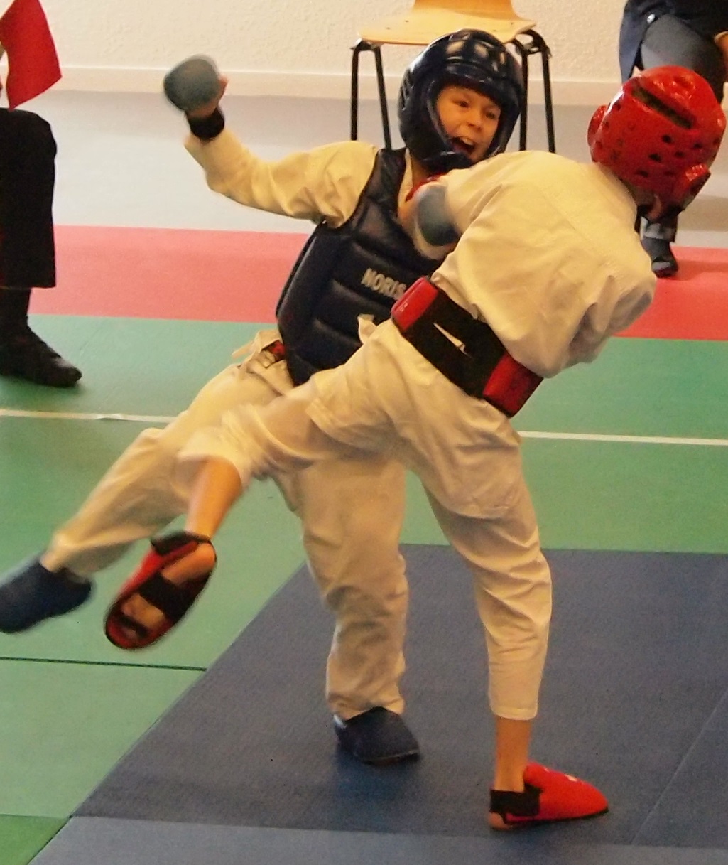 15 Karate inter region 6 modif