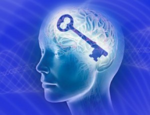 Cerveau avec cle