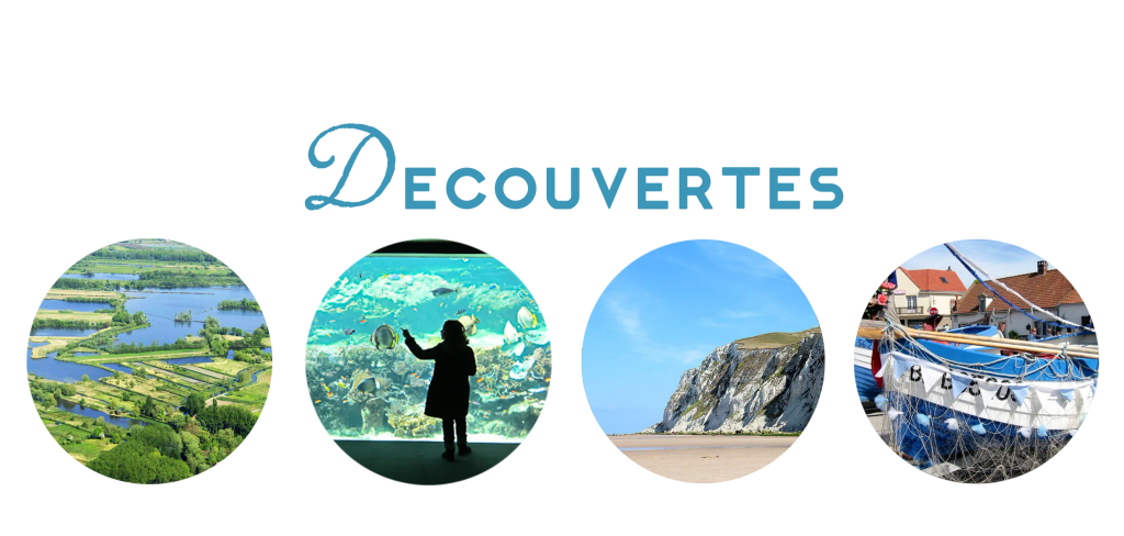 Decouvertes