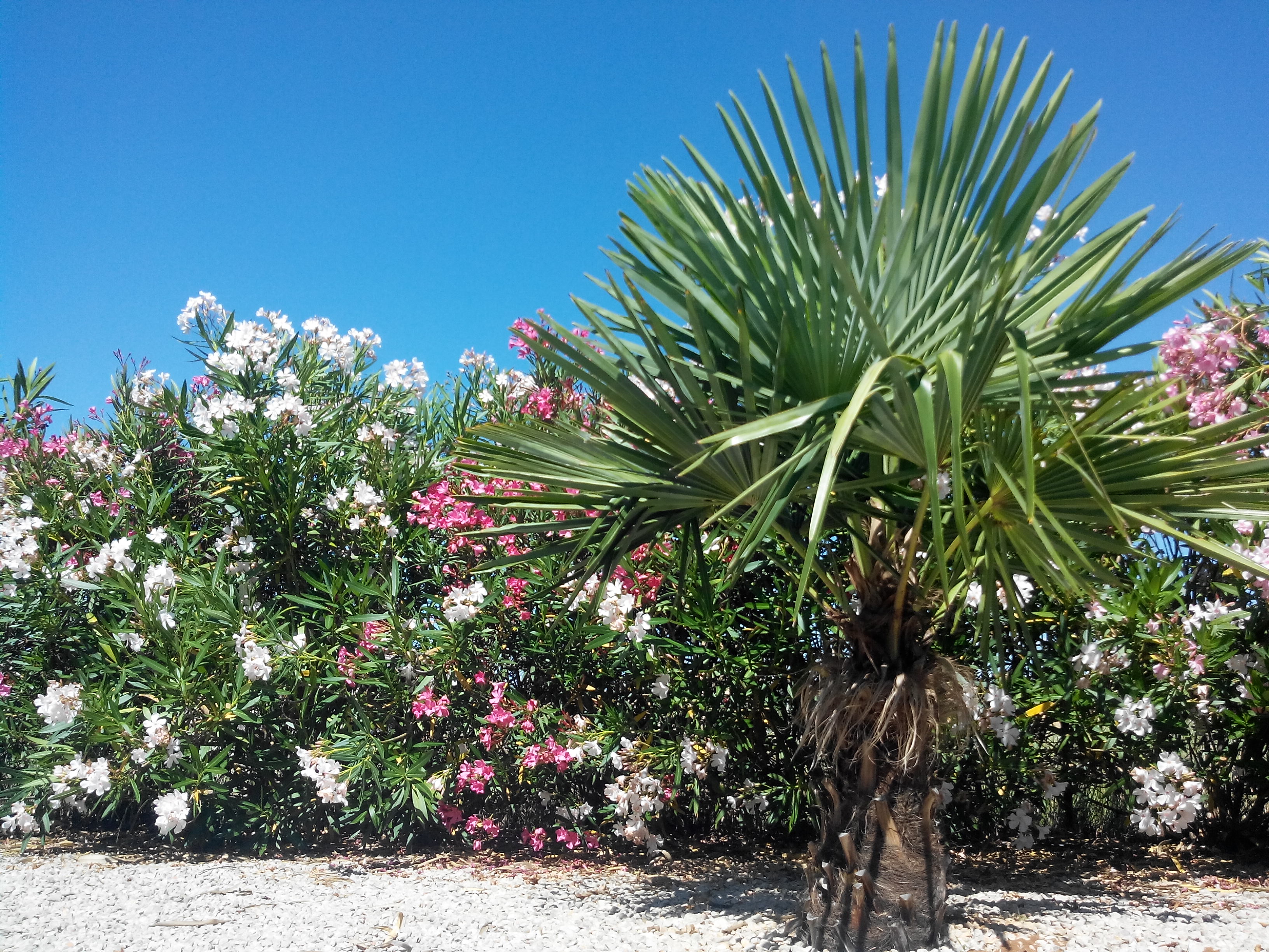 Img 20150620 160043